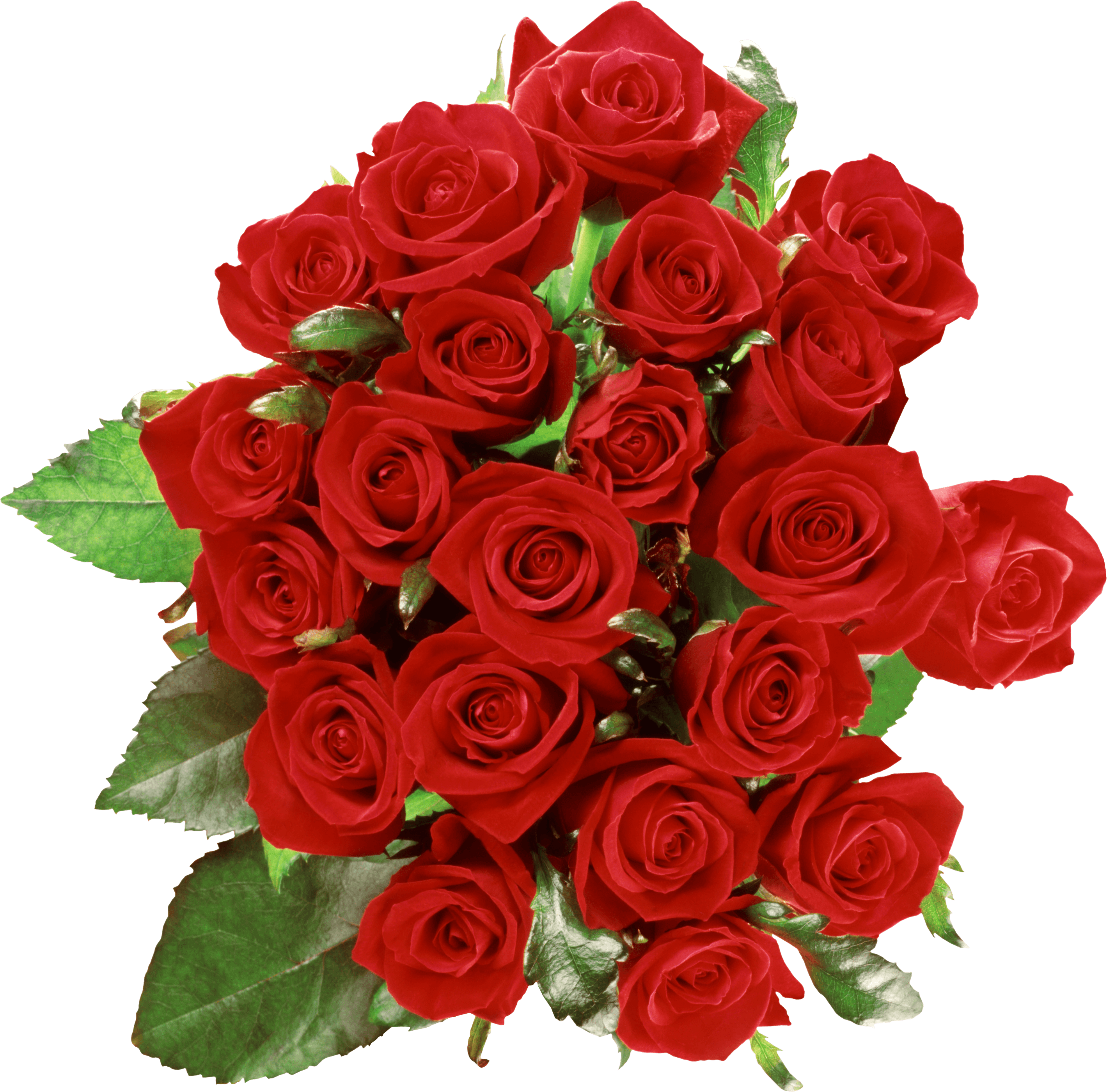 Rose Bouquet PNG Bild
