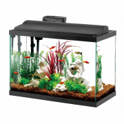 Aquarium Fish Tank PNG