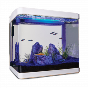 Aquarium Fish Tank PNG Clipart