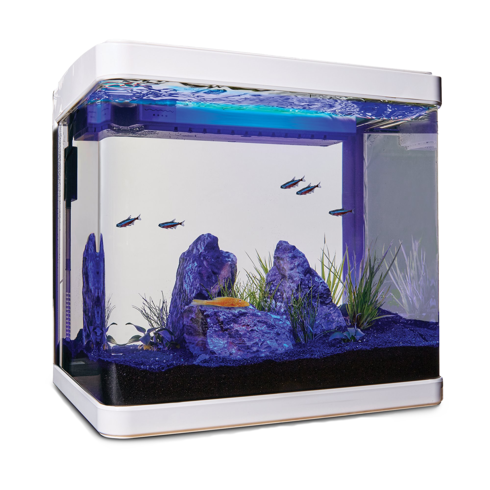 Aquarium Fish Tank PNG Clipart