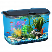 Aquarium Fish Tank PNG Download Image