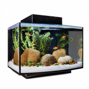 Aquarium Fish Tank PNG File