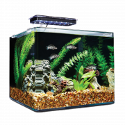 Aquarium Fish Tank PNG Free Download