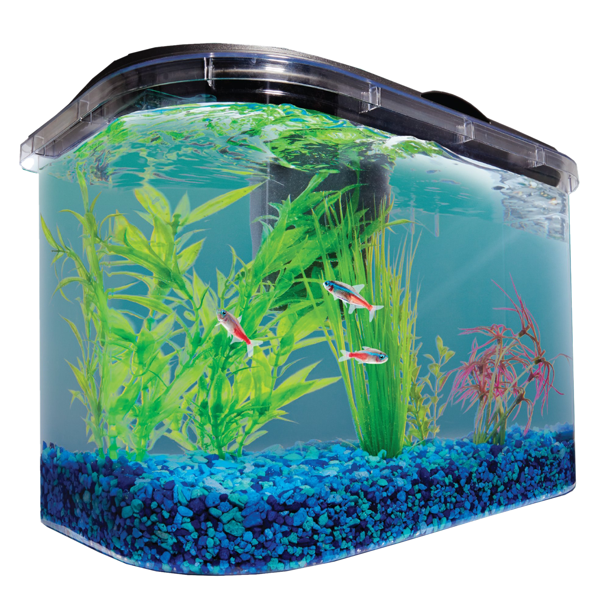 Aquarium Fish Tank PNG Image