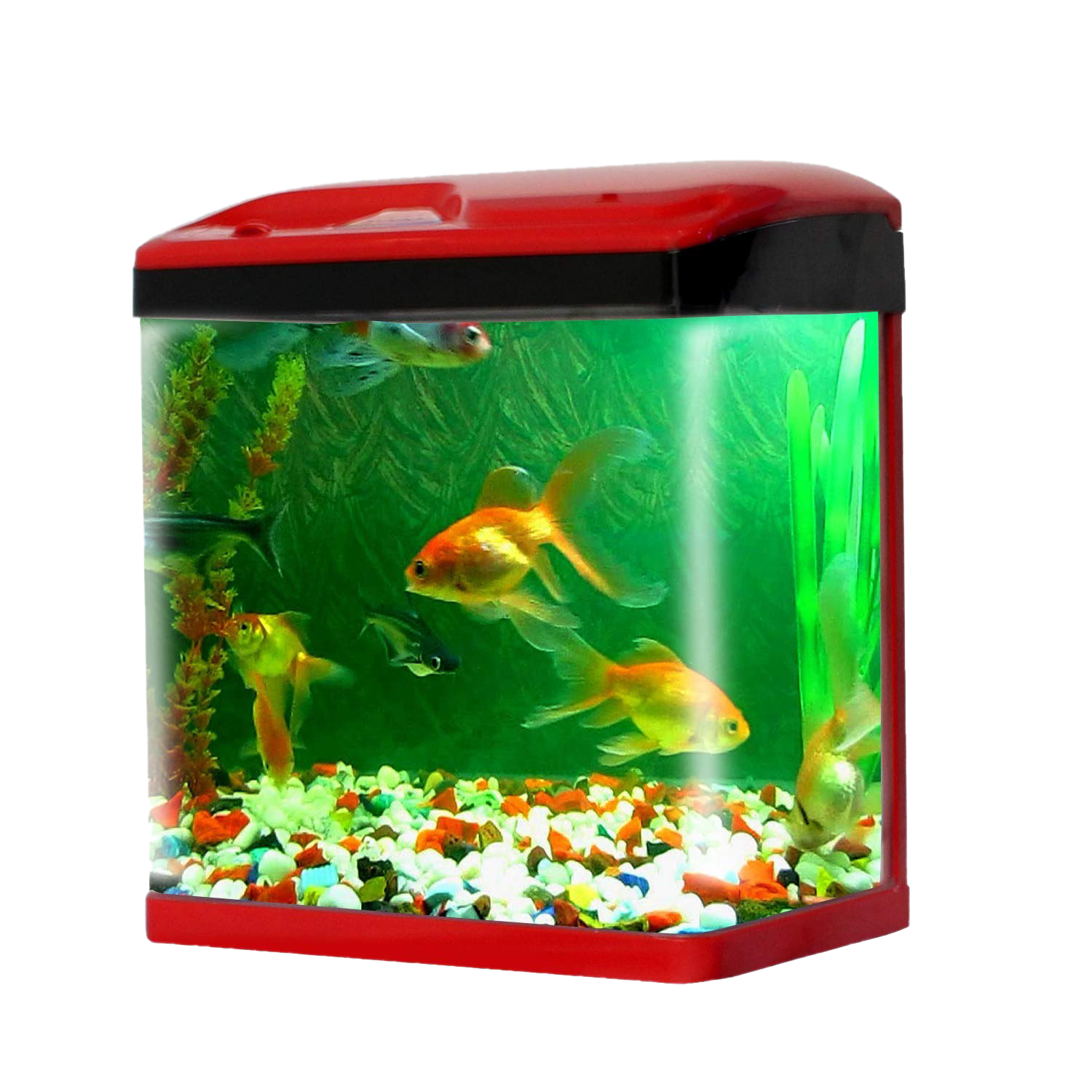 Aquarium Fish Tank PNG Pic