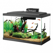 Aquarium Fish Tank Transparent