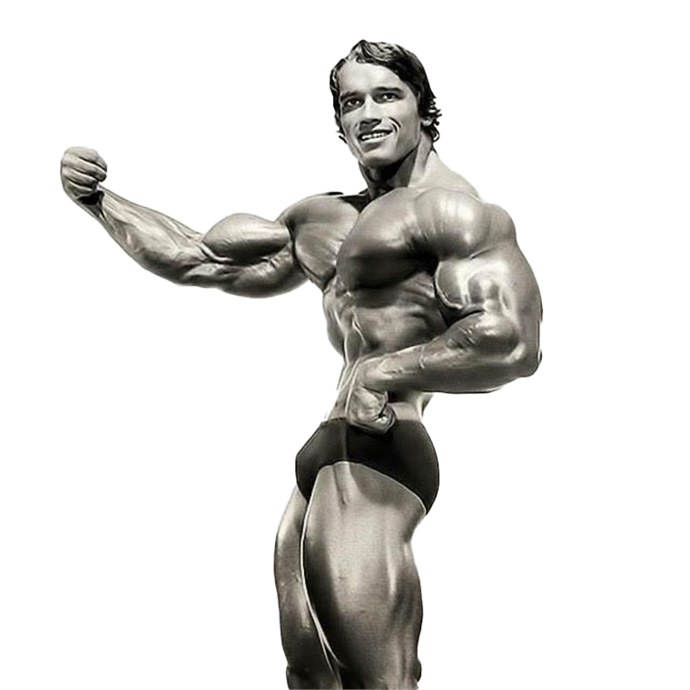 Arnold Schwarzenegger BodyBuilding PNG Скачать изображение
