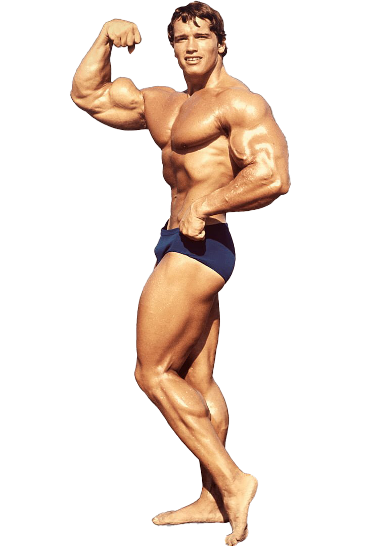 Arnold Schwarzenegger Bodybuilding PNG تنزيل مجاني