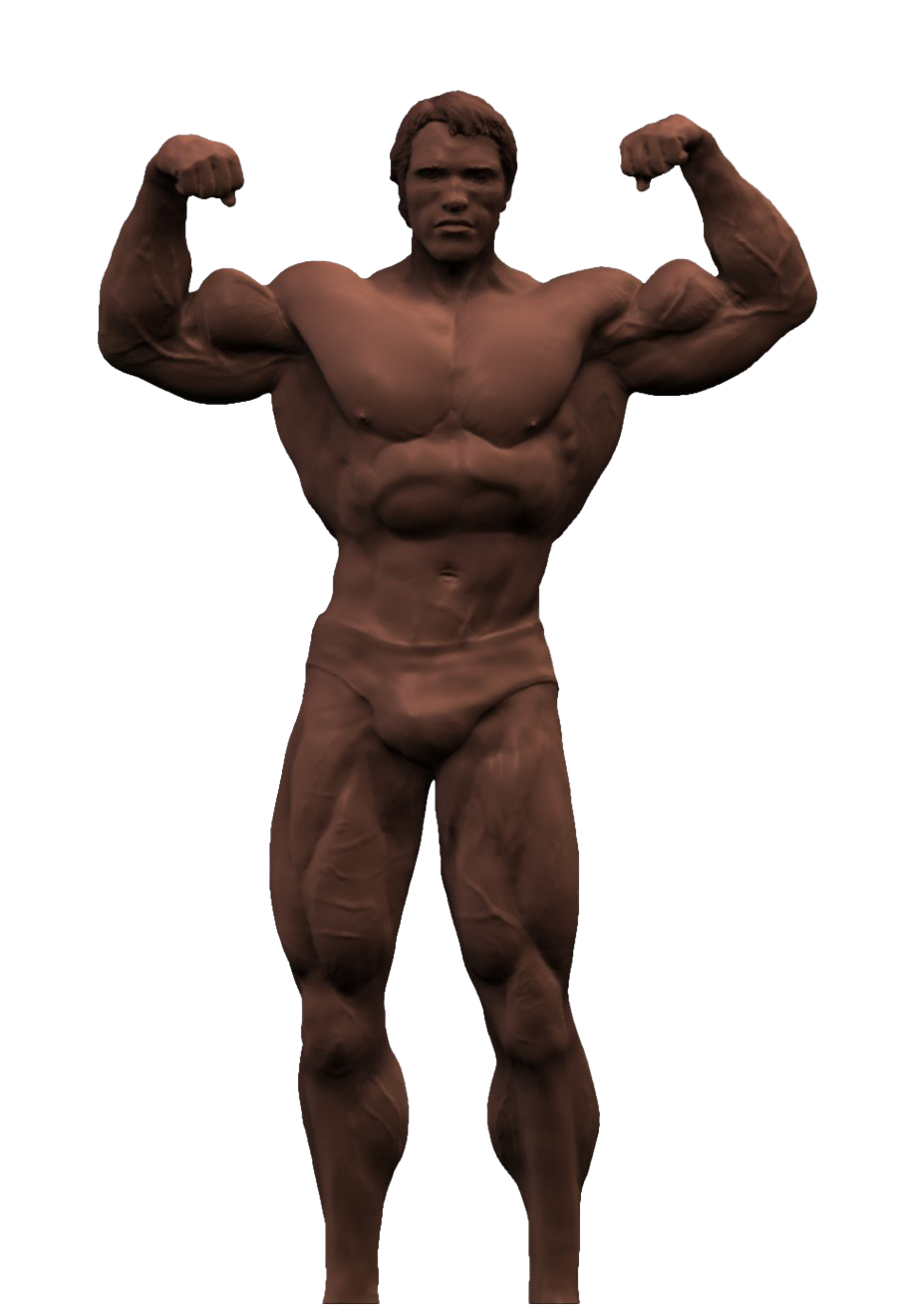 Arnold Schwarzenegger Bodybuilding PNG High Quality Image