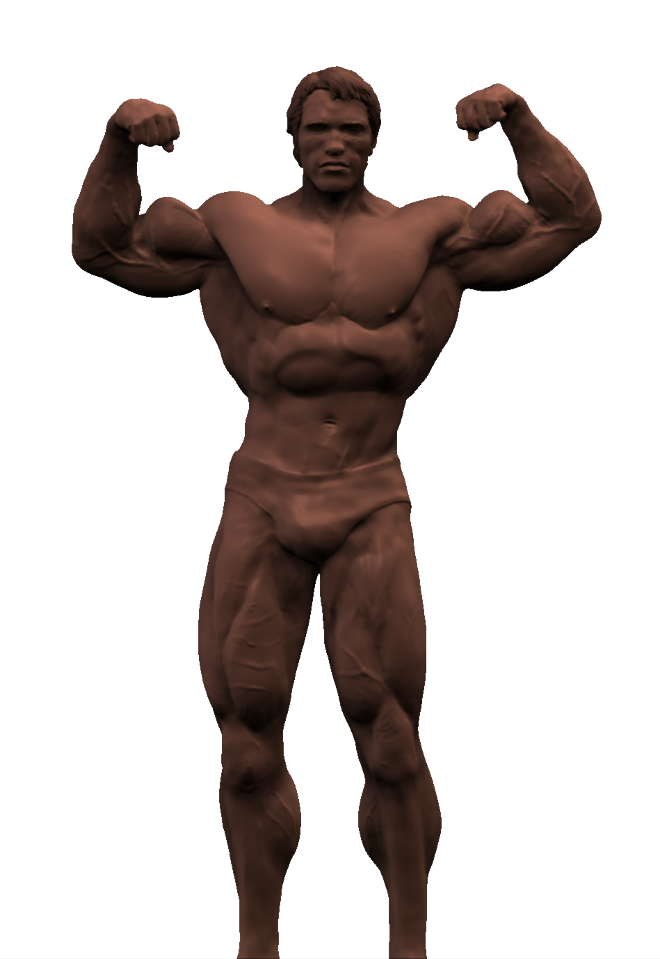 Arnold Schwarzenegger BodyBuilding Png Pic