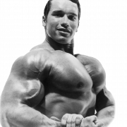 Arnold Schwarzenegger Bodybuilding PNG Picture