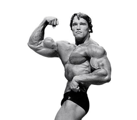 Arnold Schwarzenegger BodyBuilding Png
