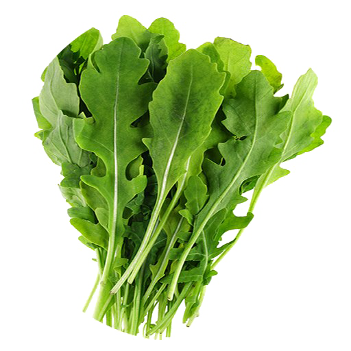 Arugula Leaves PNG Picture