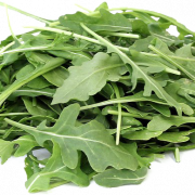 Roquette PNG
