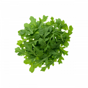 Rucola png afbeelding