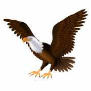 Bald Eagle PNG Free Image
