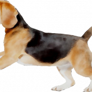 Beagle PNG