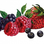 Berry png