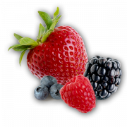 Berries PNG Image File