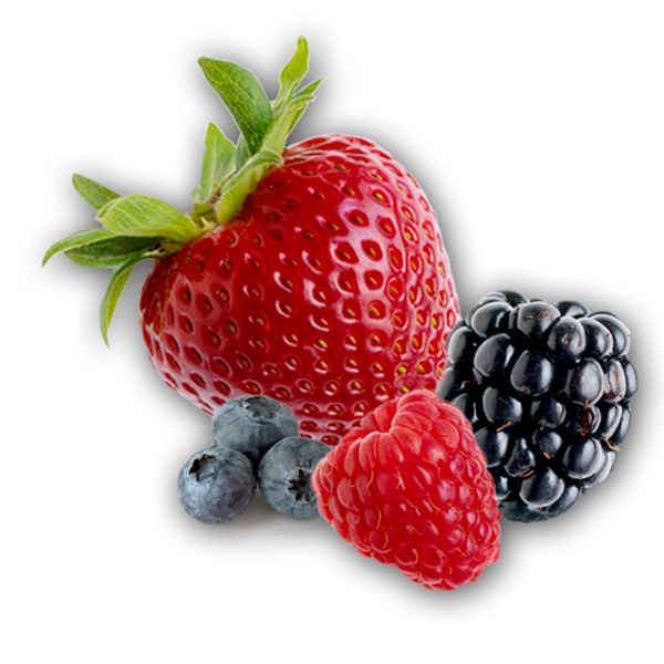 Berry Png Image File