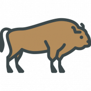 Bison PNG Clipart