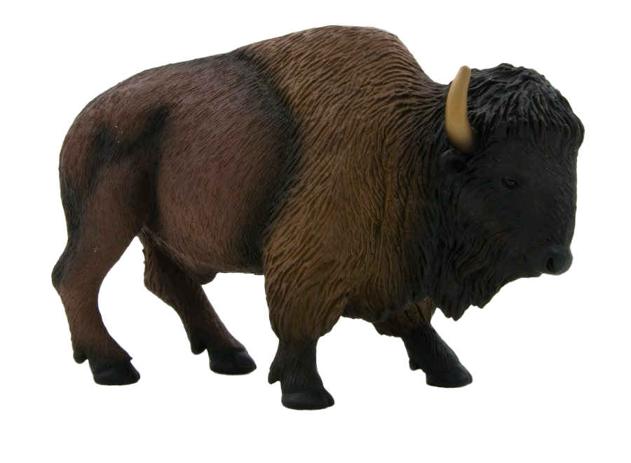 Bison PNG Image File