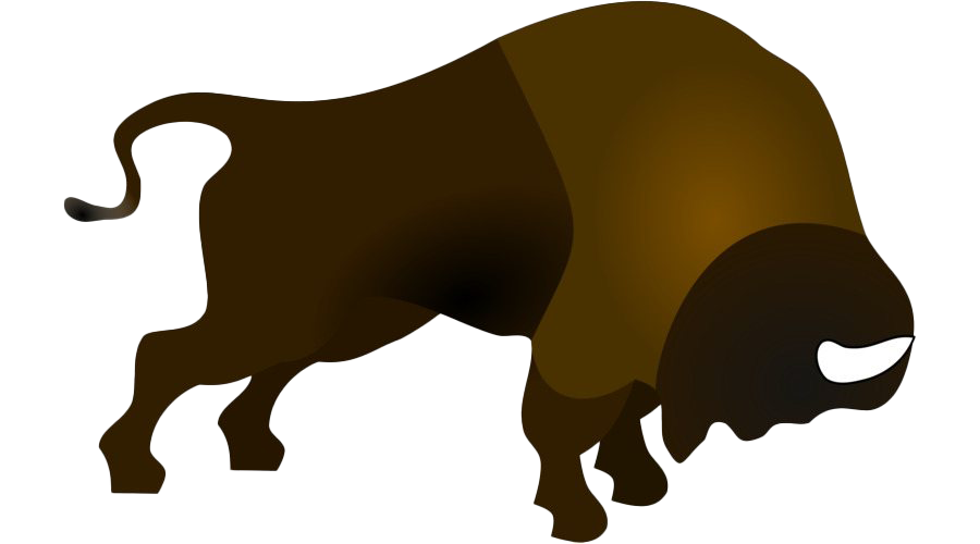 Bison PNG Image HD