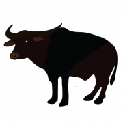Bison PNG Pic