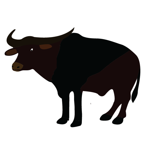 Bison PNG Pic