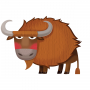 Bison PNG Picture