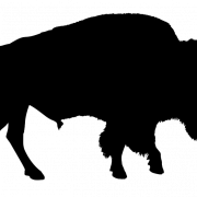 Silhouette di bisonte