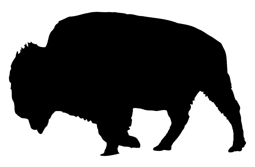 Bison Silhouette PNG