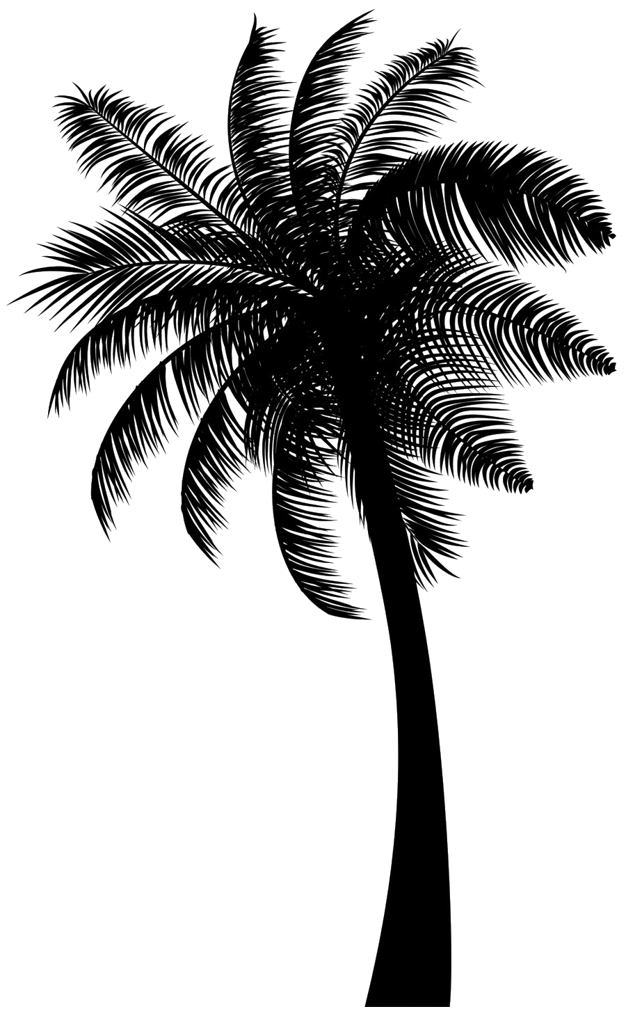 Black Coconut Tree PNG Free Download