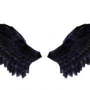 clipart png wings สีดำ