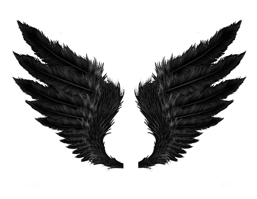 Black Wings PNG libreng imahe