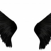 Zwarte vleugels png afbeelding