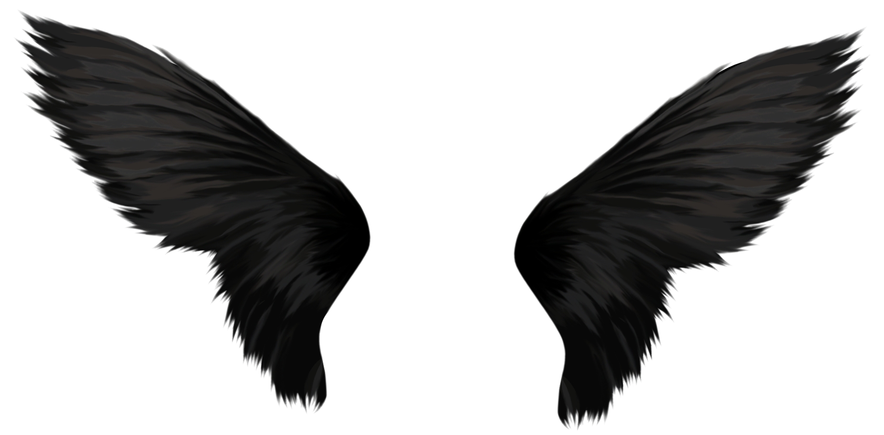 Black Wings PNG Image