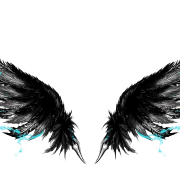 Image png des ailes noires