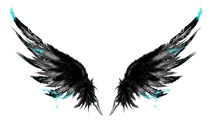 Black Wings PNG Picture