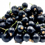 Blackcurrant Fruit
