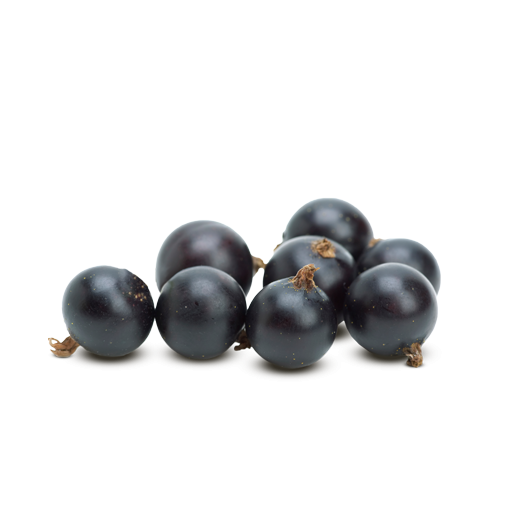 Blackcurrant Fruit PNG Clipart