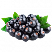 Blackcurrant Fruit PNG Photo