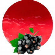 Blackcurrant PNG Clipart