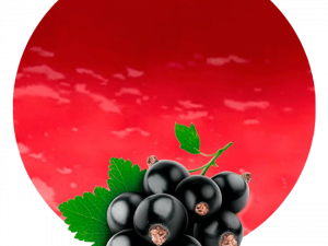 Clipart PNG a ribes nero
