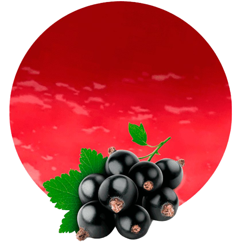 FlackCurrant PNG Clipart