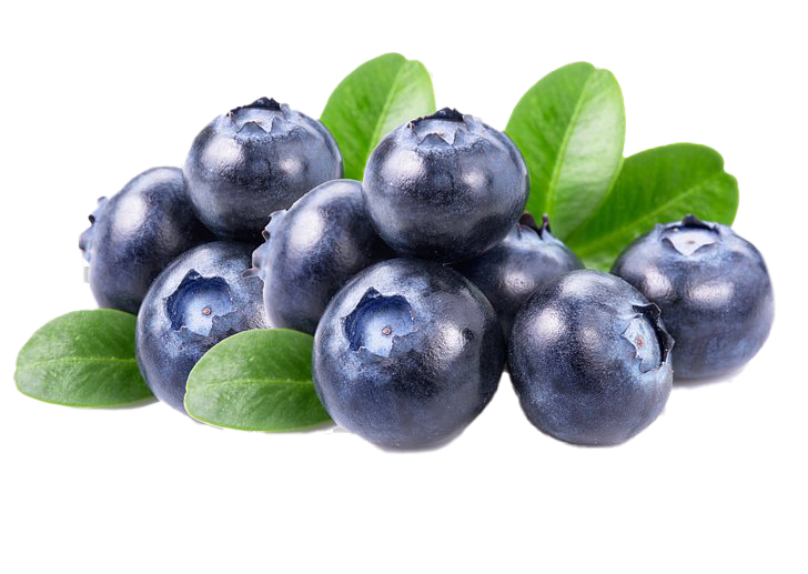 Blackcurrant PNG HD Image