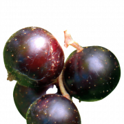Blackcurrant PNG -afbeelding