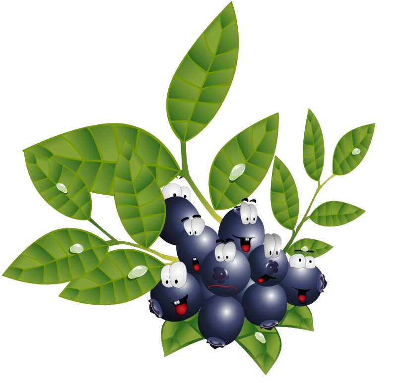 Blackcurrant PNG Pic