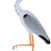Heron Blue Png Clipart
