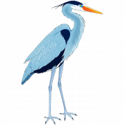 Blue Heron PNG kostenloser Download